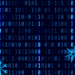 Programatori